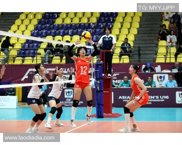 武汉排球队在邀请赛中的实力展现与未来发展潜力分析